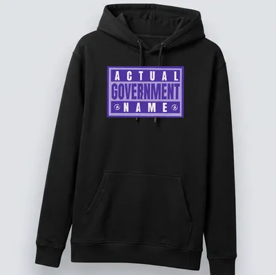 Bold typography t-shirt featuring 'Actual Government Name' in purple and white. — printed on a unisex hoodie