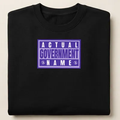 Bold typography t-shirt featuring 'Actual Government Name' in purple and white. — printed on a unisex sweatshirt