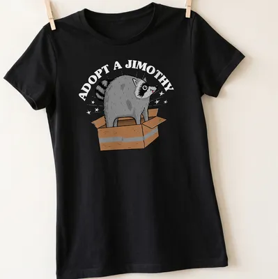 Cartoon raccoon popping out of a box with Adopt A Jimothy text — printed on a women's shirt
