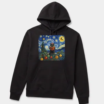 Impressionist design of a black cat reading a book under a starry winter sky — printed on a unisex hoodie