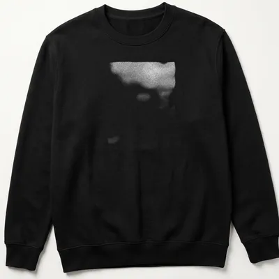 Cinematic blurred depiction of a plant shadow in black, white, and gray — printed on a unisex sweatshirt
