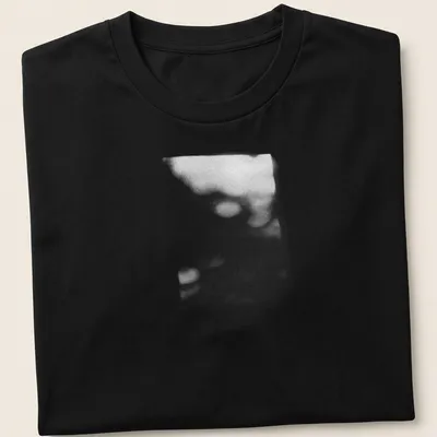 Cinematic blurred depiction of a plant shadow in black, white, and gray