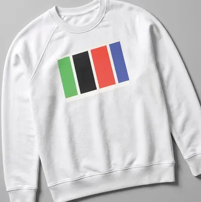 Minimalist T-shirt with four color blocks in green, black, red, and blue — printed on a unisex sweatshirt