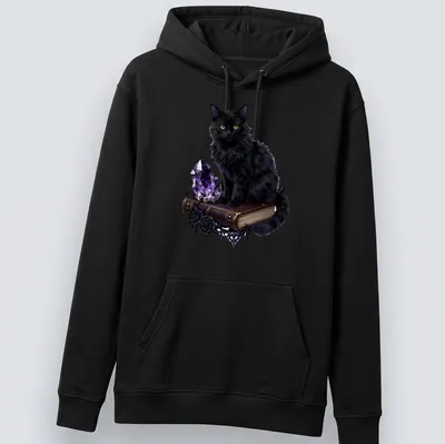 Realistic black cat with amethyst geode and spellbook design — printed on a unisex hoodie