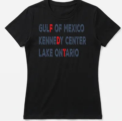 Bold distressed Gulf of Mexico Kennedy Center Lake Ontario graphic — printed on a women's shirt