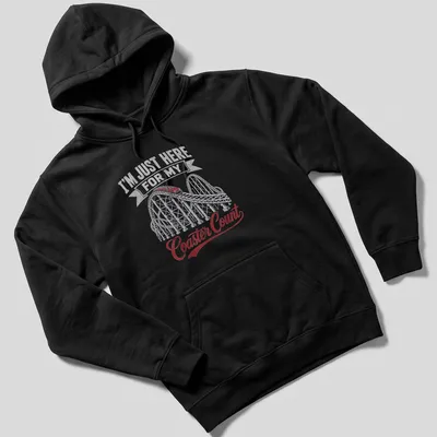 Vintage distressed tee featuring a roller coaster and coaster count humor — printed on a unisex hoodie