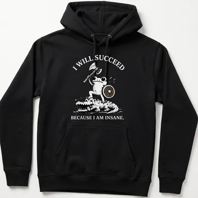 Cartoon frog warrior with the text 'I WILL SUCCEED BECAUSE I AM INSANE.' — printed on a unisex hoodie