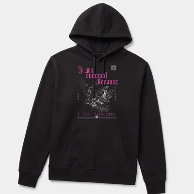 Gothic text 'I Will Succeed Because I Am Insane' with a winged warrior in pink and white. — printed on a unisex hoodie