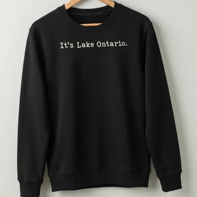 Typographic design featuring the phrase It's Lake Ontario on a beige background — printed on a unisex sweatshirt
