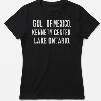 Vintage distressed t-shirt featuring Gulf of Mexico and Lake Ontario locations — printed on a women's shirt