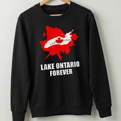 Bold Lake Ontario Forever t-shirt featuring a detailed map design — printed on a unisex sweatshirt