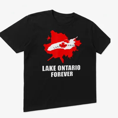 Bold Lake Ontario Forever t-shirt featuring a detailed map design — printed on a unisex t-shirt (angled view)