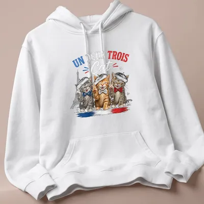 Colorful cartoon print of three cats in berets with the text Un Deux Trois Cat — printed on a unisex hoodie