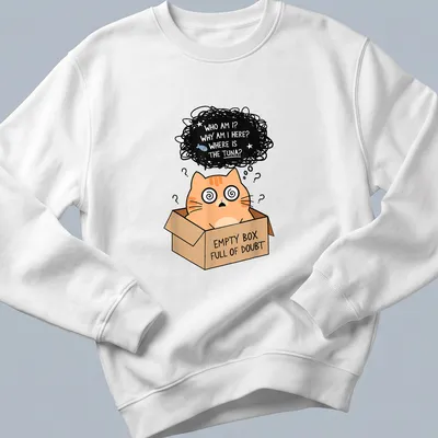 Kawaii illustration of an orange cat in a box with humorous text. — printed on a sweatshirt