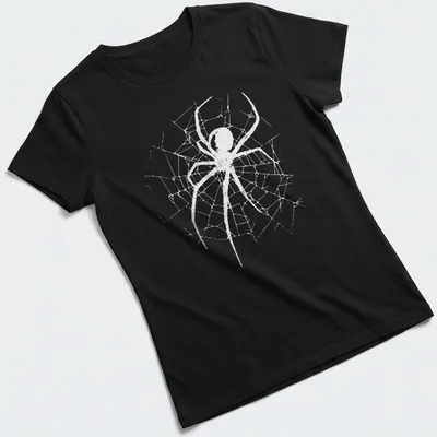 Minimalist spider illustration with a web in white and light gray colors — printed on a women's shirt